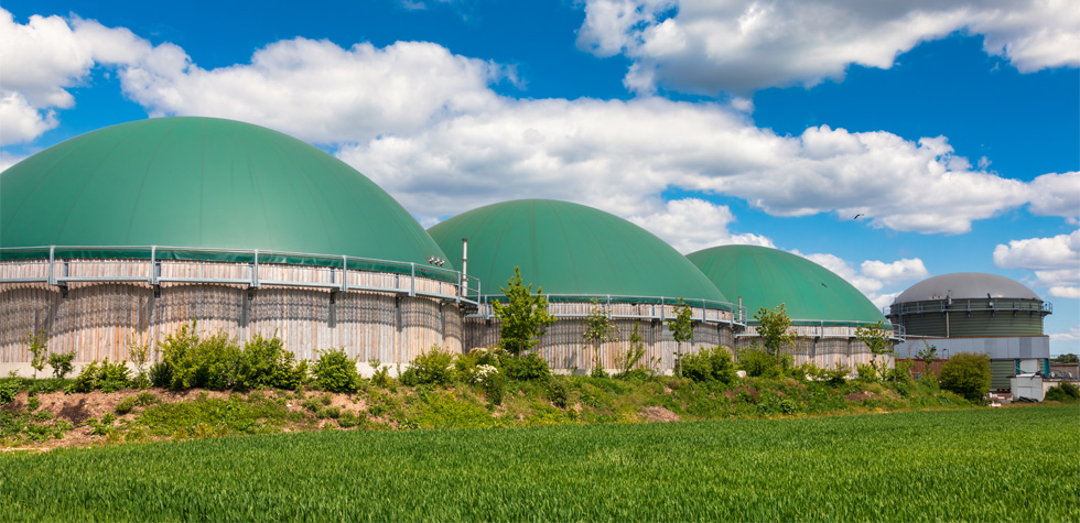 Photograph of biofuel storage silos